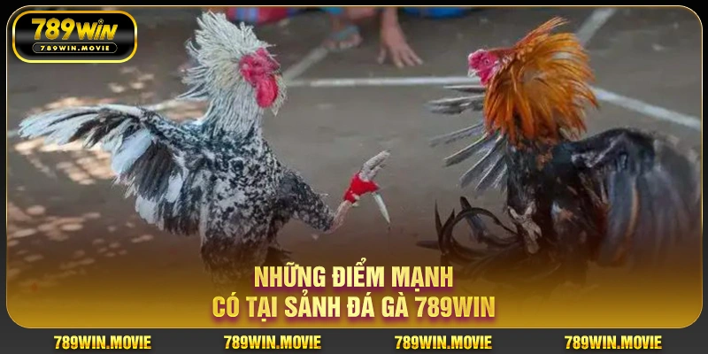 Những điểm mạnh có tại sảnh đá gà 789WIN